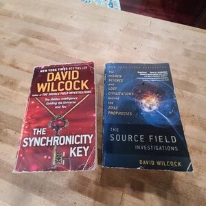 Book Set - David WIilcox SYNCHRONICITY KEY ETC.